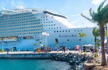 Mykonos Small Group Tour for Cruise Passengers — Port Pickup