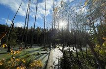 Guided hike in Berlin and Brandenburg incl. transport 