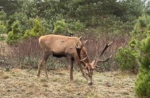 Guided hike in Berlin and Brandenburg incl. transport 