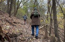 Guided hike in Berlin and Brandenburg incl. transport 