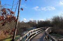 Guided hike in Berlin and Brandenburg incl. transport 