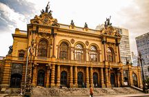 Private Customizable São Paulo City Walking Tour