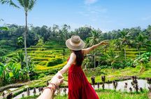 Ubud Tour with Swing, Waterfalls, Rice Terraces & Monkey Forest