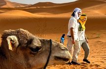 From Marrakech: 3-Day Private Excursion to the Erg Chegaga Sahara