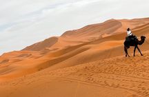 From Marrakech: 3-Day Private Excursion to the Erg Chegaga Sahara