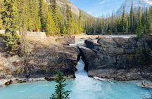Emerald Lake, Wapta Falls, and Takakkaw Falls Tour in Banff
