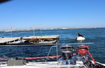 San Diego Private Morning Sail up to 12 guests