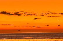 La Paz Mexico Sunset Cruise with Local Guides : small group