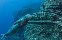 Private Niihau Scuba Charter with 2 or 3 Tank Dive Option