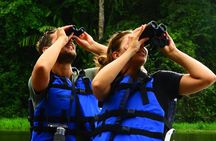 Full Experience in Tortuguero Two Days of Adventure