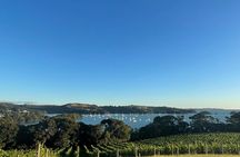 Waiheke Island Half Day Scenic Wine and Lunch