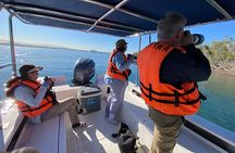 La Paz Mexico Sunset Cruise with Local Guides : small group