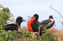 Isla de la Plata: Wildlife Trails & Snorkeling at Machalilla Park