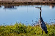 Hike and Bike through Orange County