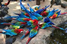 Private Transportation Brazilian Falls and Bird Park