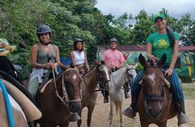 Scenic Horseback Ride in Tropical Mountain Reserve