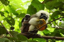 UTV Thrills & Horseback Adventure in Tropical Wildlife Paradise