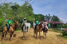 Scenic Horseback Ride in Tropical Mountain Reserve