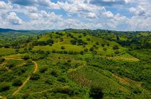 Scenic Horseback Ride in Tropical Mountain Reserve