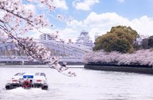1 Day Takoyaki Making and Osaka Castle Walking Tour