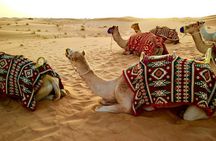 Desert Safari Dubai