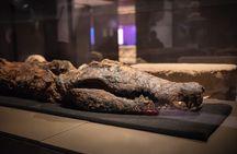 Grand Egyptian Museum, Pyramids & Sphinx, Camel Ride & Lunch