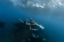 Full Day Private Tour to Nusa Penida by Motor Yacht