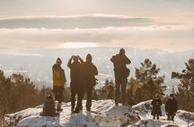 4 hours Best View of the Oslofjord Winter Edition