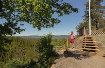 Wildlife Forest Hike