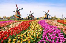 Discover Keukenhof and Zaanse Schans Windmills from Amsterdam