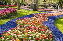 Discover Keukenhof and Zaanse Schans Windmills from Amsterdam