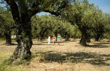 Secret Zante Tour with Monastery, Blue Caves and Local Tastings
