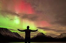 7 hours Tromsø Aurora Tour: Photos, snacks & warm drinks included
