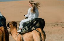 Camel riding and Agadir Desert (Timlalin) tour with Mint tea