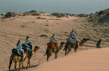 Camel riding and Agadir Desert (Timlalin) tour with Mint tea