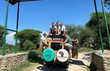 4 Day Midrange Tarangire Ngorongoro and Serengeti Tour