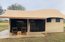 4 Day Midrange Tarangire Ngorongoro and Serengeti Tour