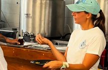 Cozumel Downtown & Brewery