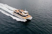 Silent Whale Watching on Hybrid-Electric boat with Scenic bustrip
