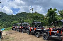 Private Rasta Safari Cultural UTV Village Experience