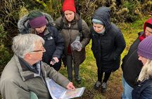 Archaeology Tour in the Scottish Borders