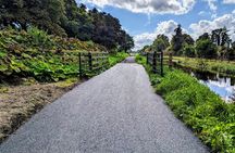 Arthurs Grand Canal Bike Tour
