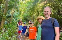 EcoHike to private beach, Jungle Walk to see plants & animals