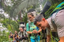 EcoHike to private beach, Jungle Walk to see plants & animals