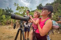 EcoHike to private beach, Jungle Walk to see plants & animals