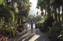 Native Australian Food & Wine Forage Tour: Sydney Botanic Gardens