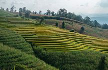 A Day Trip to Doi Inthanon Escape to Nature