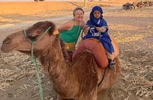 High Atlas Mountains, Day Trip From Marrakech
