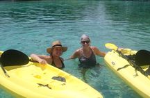 Mangrove Lagoon Kayak, Snorkel & Swim Excursion