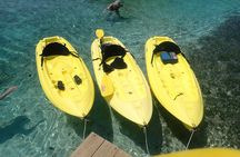 Mangrove Lagoon Kayak, Snorkel & Swim Excursion